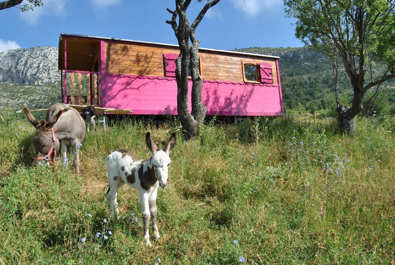 Ferme Saint Pierre Hotell Bargème Exteriör bild