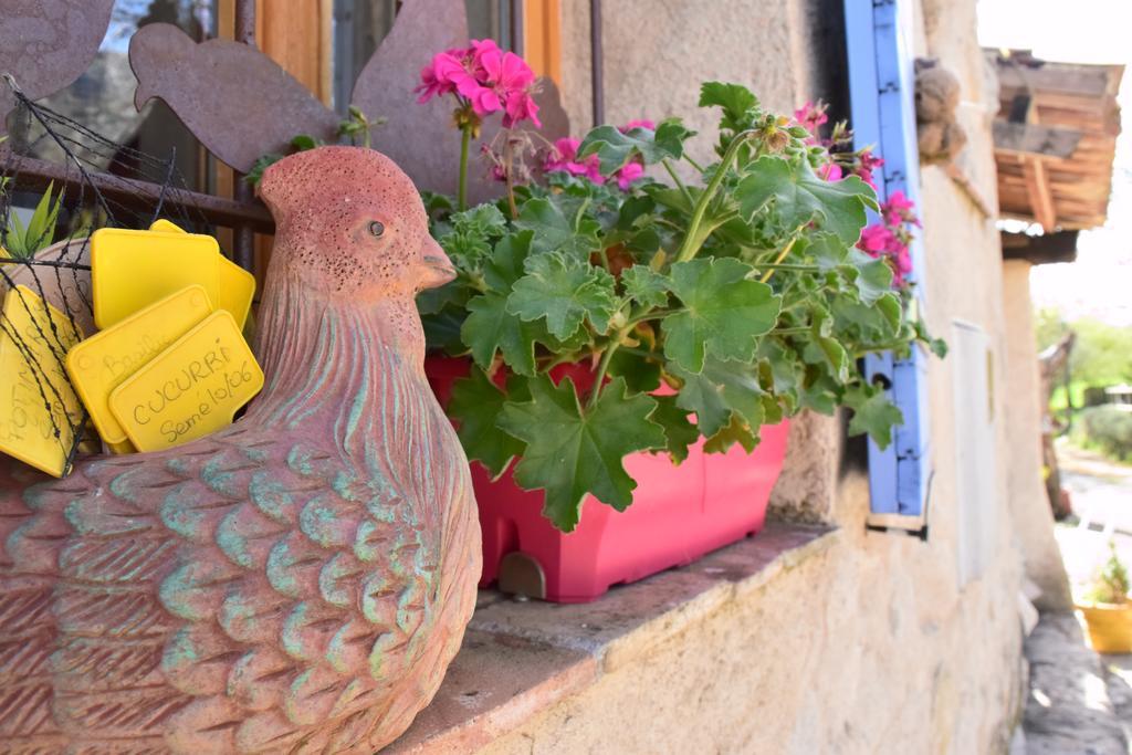 Ferme Saint Pierre Hotell Bargème Exteriör bild
